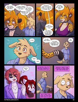 Page 41