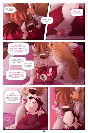 Page 43