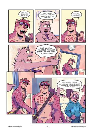 Page 25