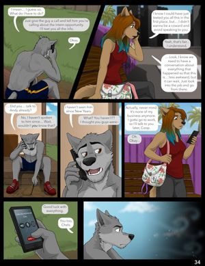 Page 35