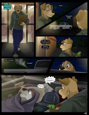 Page 43