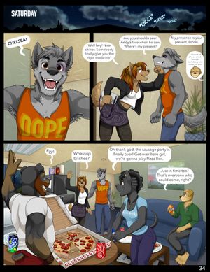 Page 35