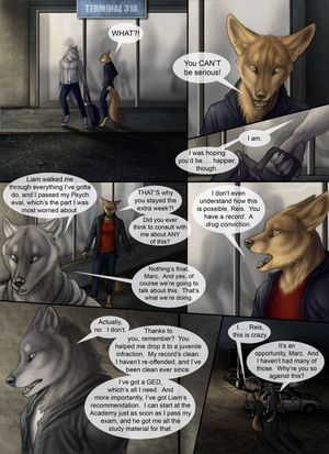 Page 41