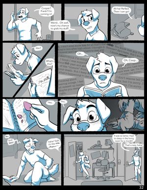 Page 32