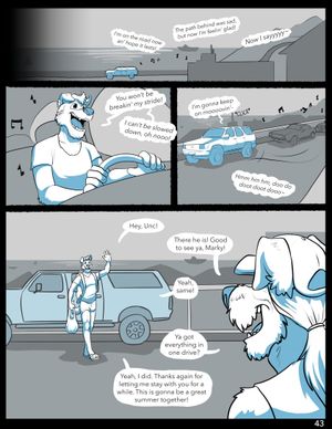 Page 43