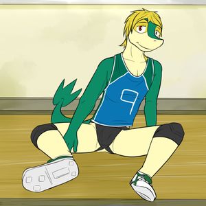 Page 61