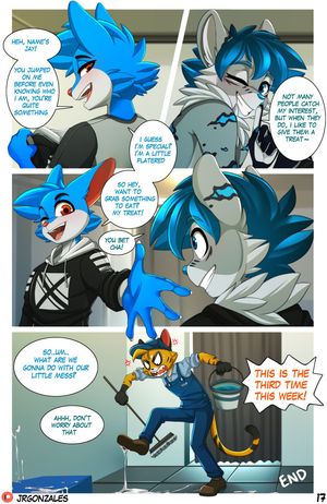 Page 17