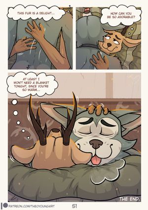 Page 51