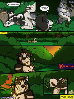 Page 41