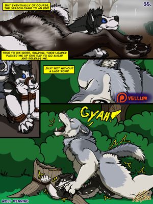 Page 36