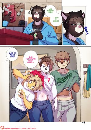 Page 43