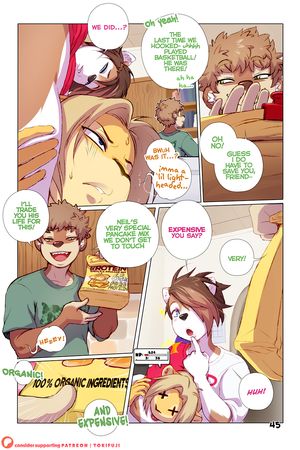 Page 45