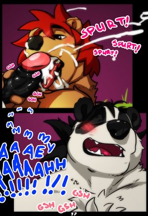 Page 37
