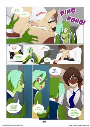 Page 36