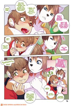 Page 15