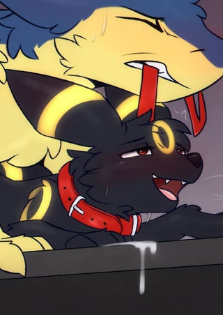 Umbreon and Typhlosion