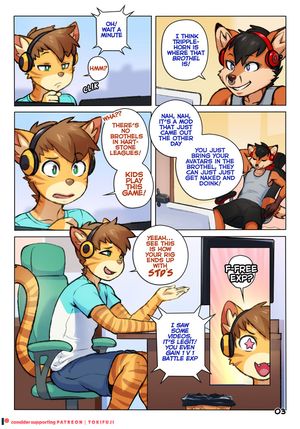 Page 3