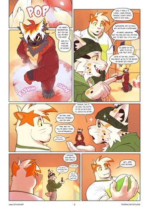 Page 3