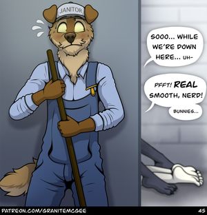 Page 45