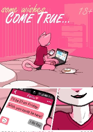 Some Wishes Come True