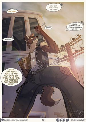 Page 12