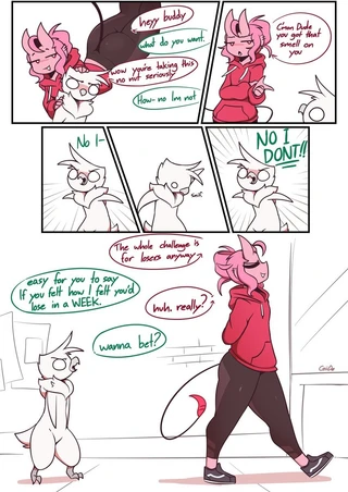 The Bet