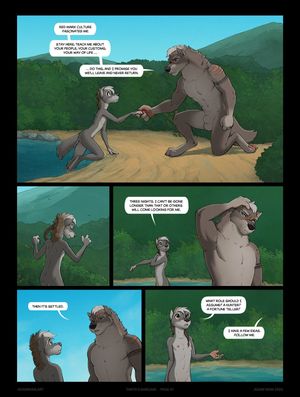 Page 41
