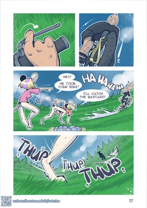 Page 17