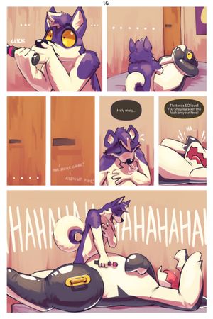 Page 16