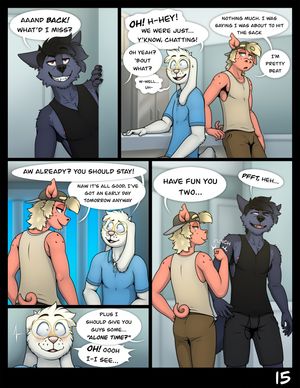 Page 15