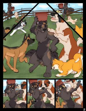 Page 2