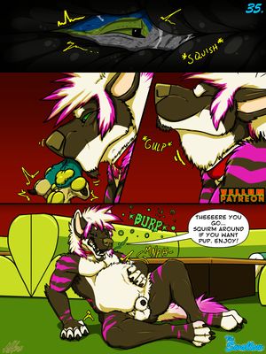 Page 35