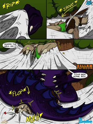 Page 22