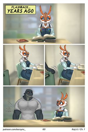 Page 62