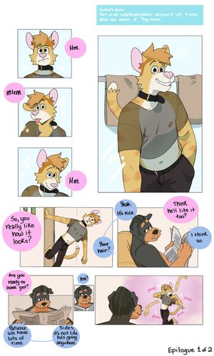Page 35