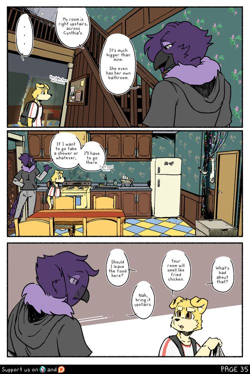 Page 35