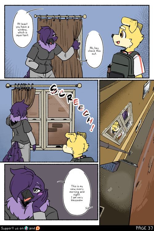 Page 37