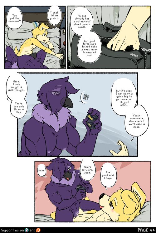 Page 44