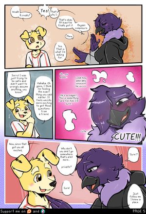 Page 5