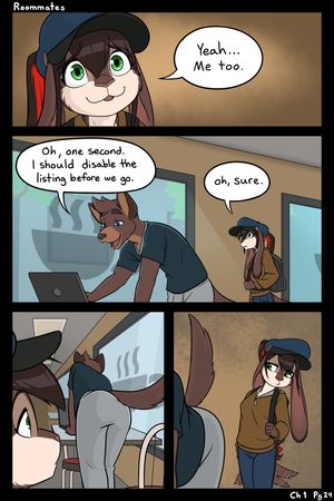 Page 24