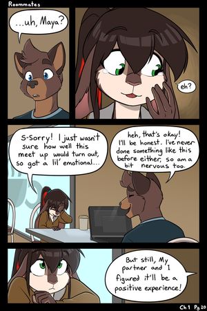 Page 20
