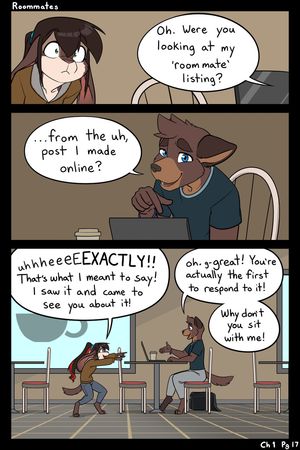 Page 17