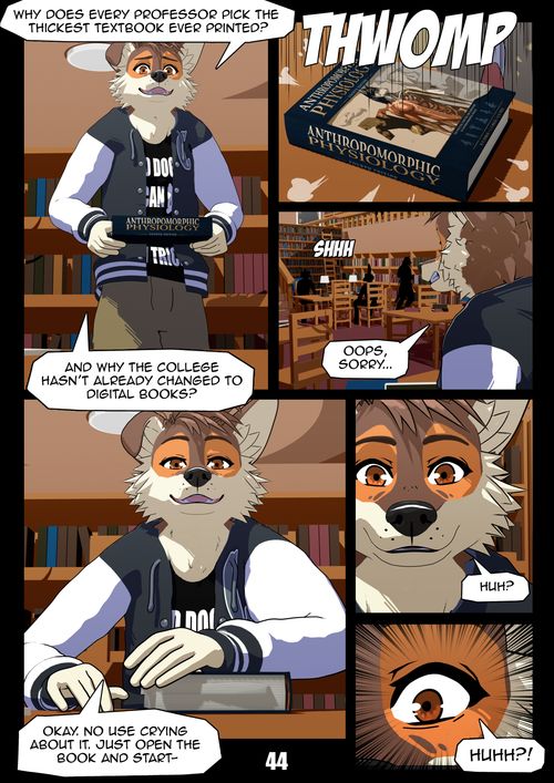 Page 44