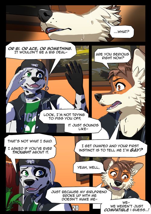 Page 20
