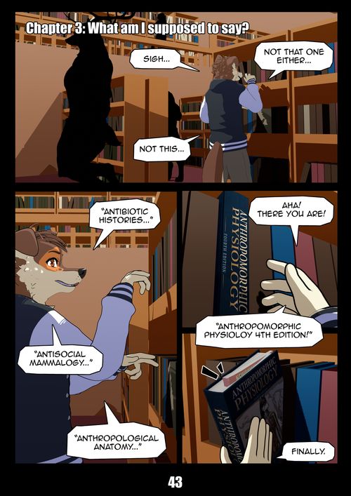 Page 43
