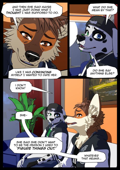 Page 14