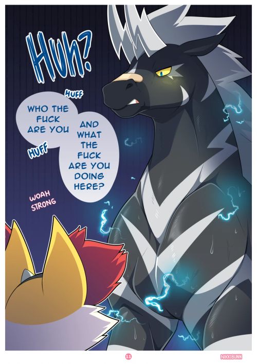 Page 11