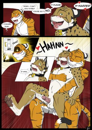 Page 27