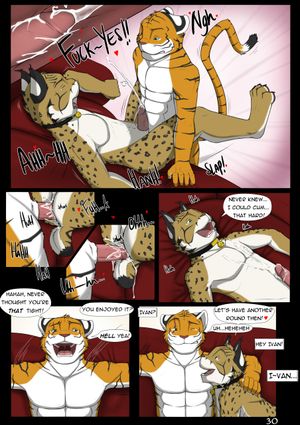 Page 30
