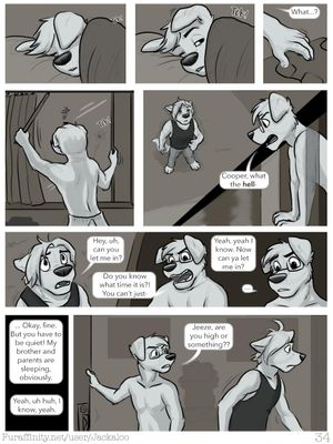 Page 33